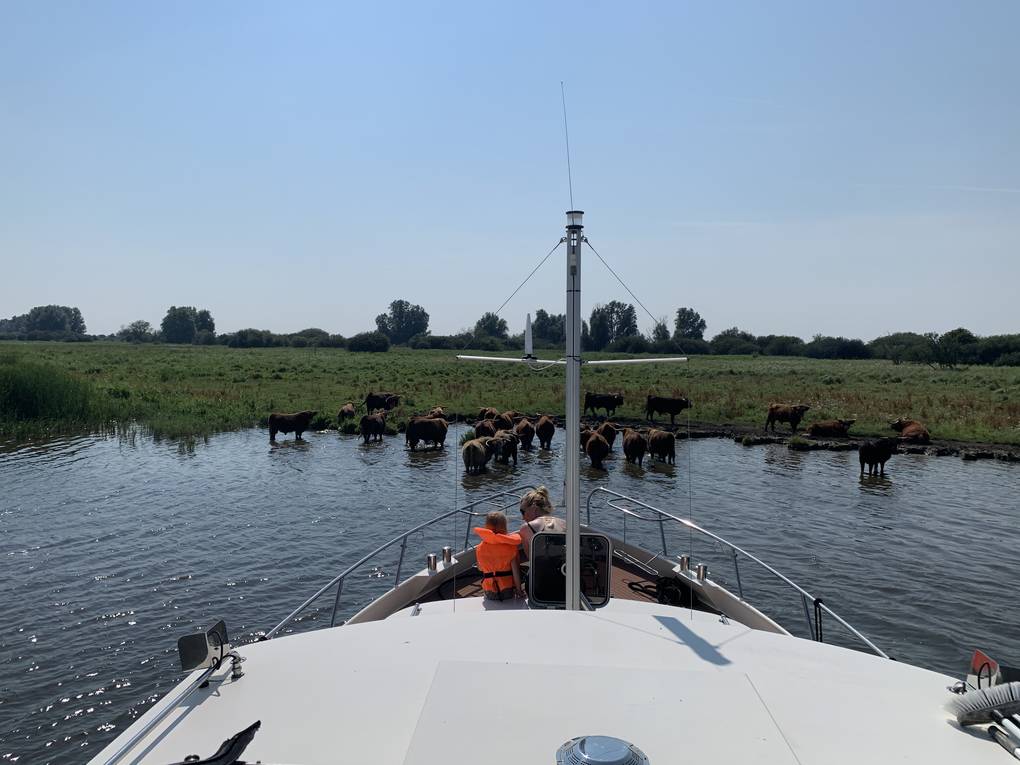 Segeln mit Kindern in Friesland