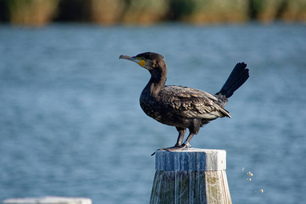 Wochenende zur Entspannung auf dem Wasser