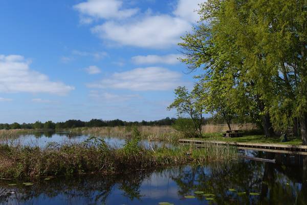 Nationalpark Park Weerribben-Wieden